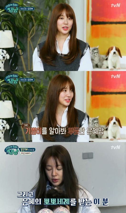 개냥 윤은혜 방송 후 반응? 저보다 기쁨이 더 좋아해줘