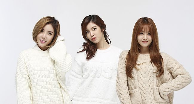 [공식입장] 시크릿 측 