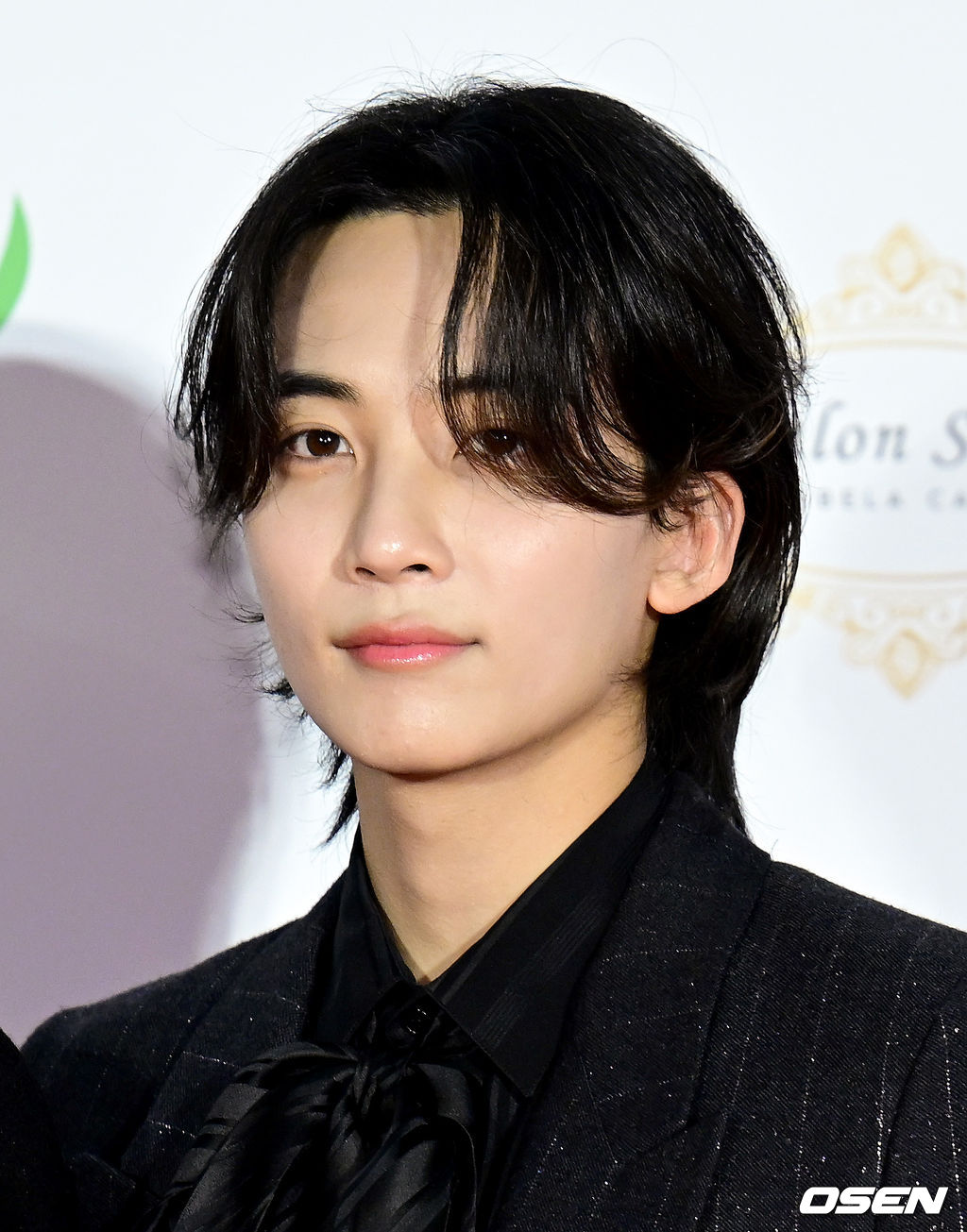 [사진]세븐틴 정한,귀공자 분위기