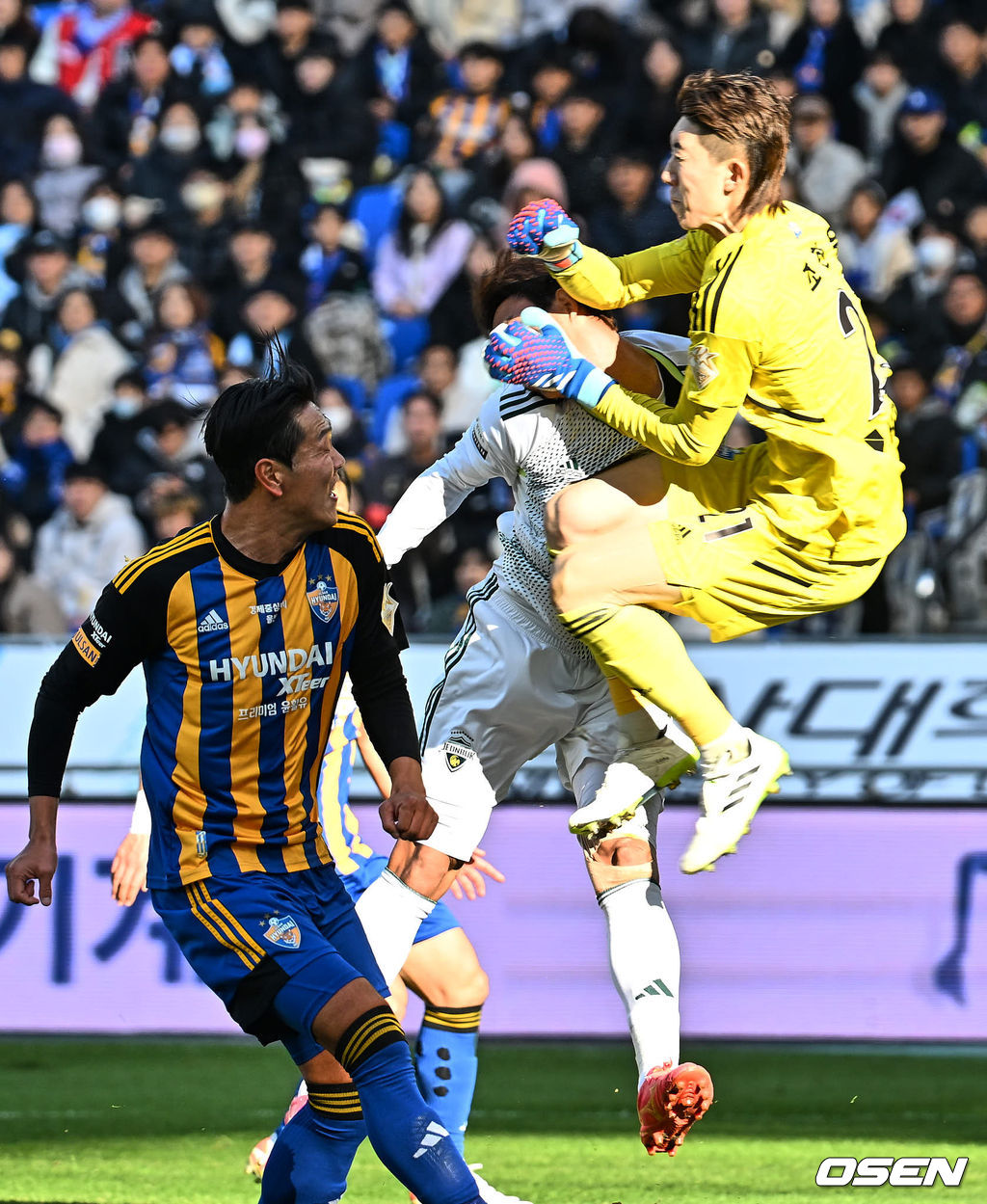 [사진] 조현우와 충돌하는 홍정호