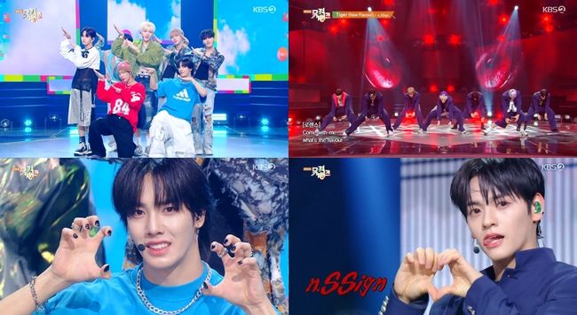 엔싸인, 롤러코스터→타이거..감미로움‧강렬함 다잡은 반전 매력