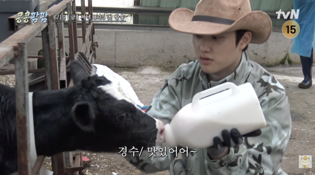 이광수·김우빈·도경수 ‘콩콩팜팜’  밥친구 포기..“이게 다 똥이라는 거잖아” [Oh!쎈 예고]