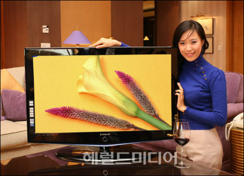 삼성 파브TV 판매 100만대 돌파