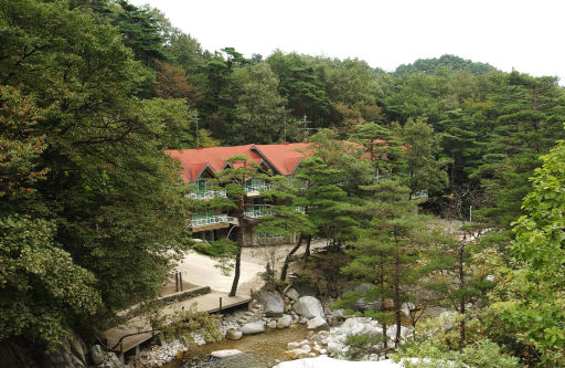 “대관령자연휴양림서  완연한 봄을 느끼세요”