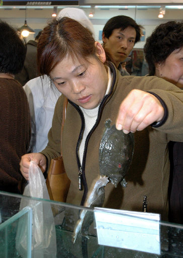 中 이마트 식품매장엔 거북이ㆍ개구리도 판다