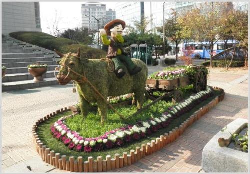 도심에 나타난 소치는 목동