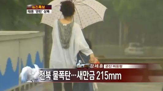14호 태풍 덴빈 피해…물폭탄 맞은 전북, 300가구 대피 권고