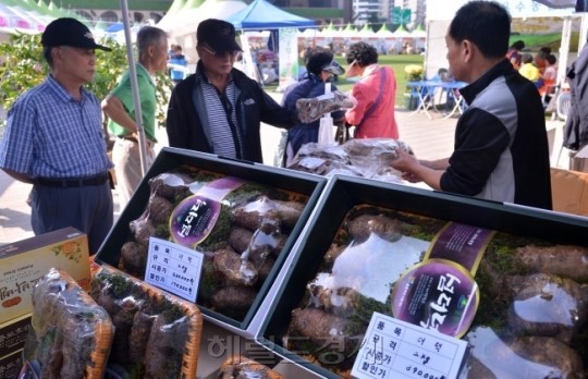 <포토뉴스> “우리 농수산물 정말 싸고 좋네요”