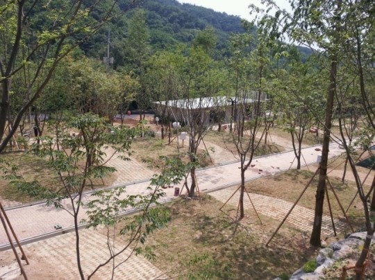 도학 오토캠핑장