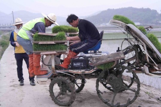 서울시설공단 임직원, 달빛동화마을서 봉사