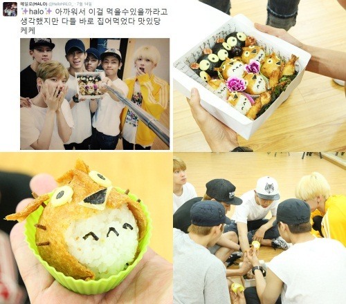 요코 미호, 헤일로 향한 감동 도시락 화제