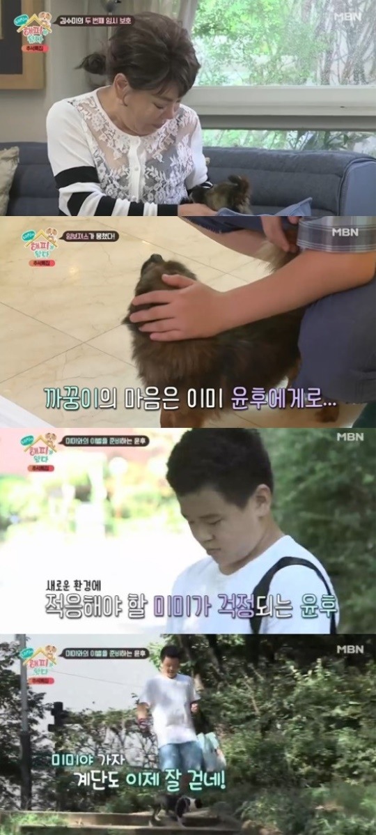 우리집에 해피가 왔다김수미, 두 번째 임시보호 시작+윤후, 미미와 이별(종합)