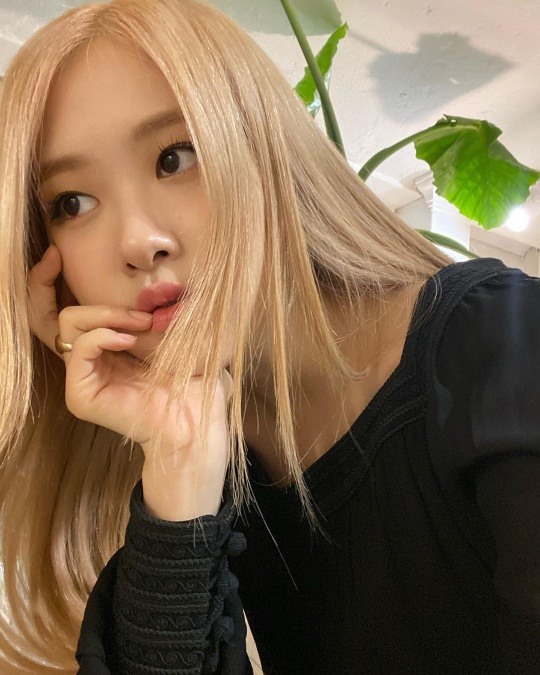 블랙핑크 로제, 심쿵하게 하는 미모..금발머리 요정