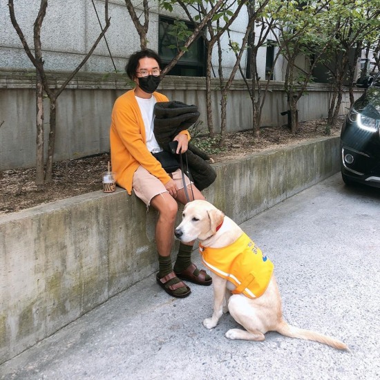 환불원정대 정재형, 예비 안내견 해듬이 근황 오늘은 내가 미안해