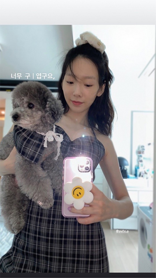태연, 반려견 제로와 커플룩 입고 러블리 미소 너무 귀엽구요