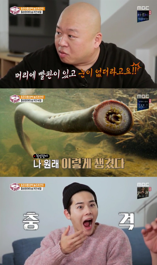 먹다보면 돈스파이크X김동준 칠성장어에 경악 대체 어떻길래?