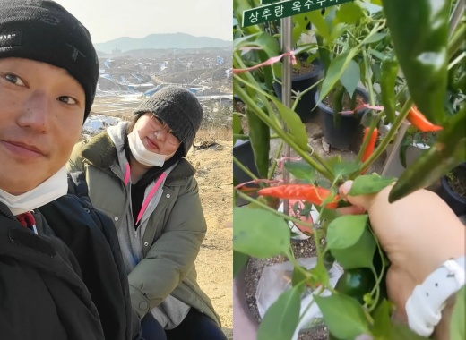 고성댁 하재숙, 며느리 사랑은 시아버지…밭에 이걸 다?