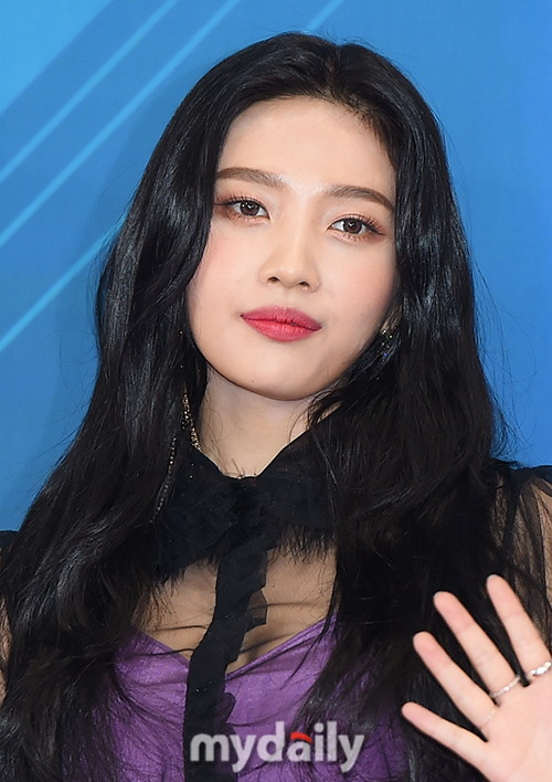 SM 레드벨벳 조이, 컨디션 난조로 스케줄 중단…치료·안정 필요 [공식](전문)