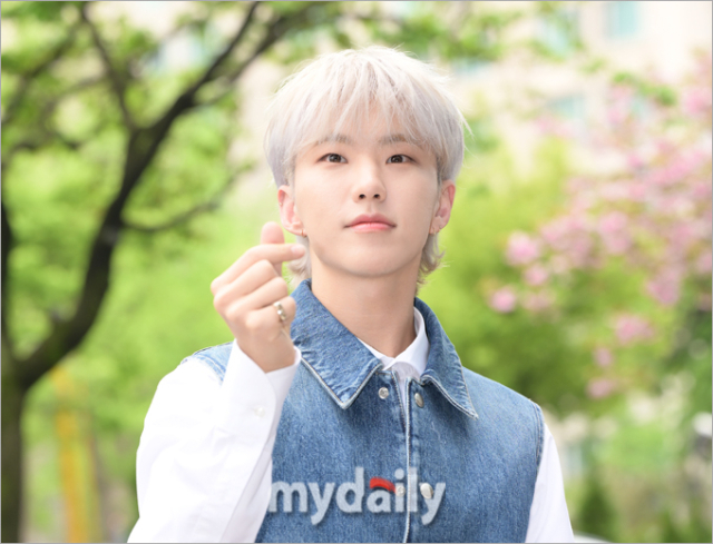 [MD포토] 세븐틴 호시 벚꽃처럼 화사한 헤어