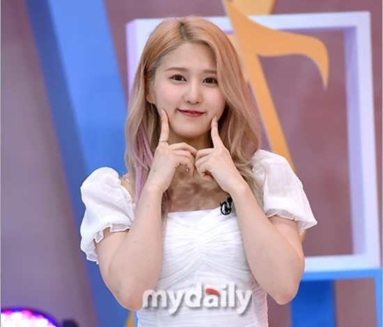 돌연 해체 네이처, 멤버 日유흥주점 근무 의혹 하루만 충격 발표 [MD이슈](종합)