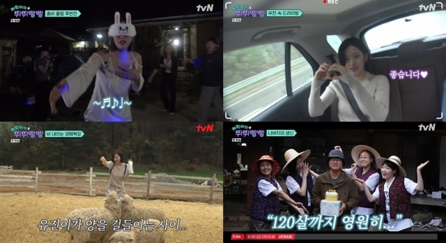 안유진, 나영석 PD 울렸다…이 정도면 연기 해야 [뛰뛰빵빵]