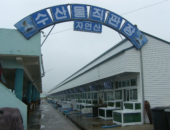 [강원]강릉 사천항, 기존 횟집과 수산물 직판장 갈등 깊어