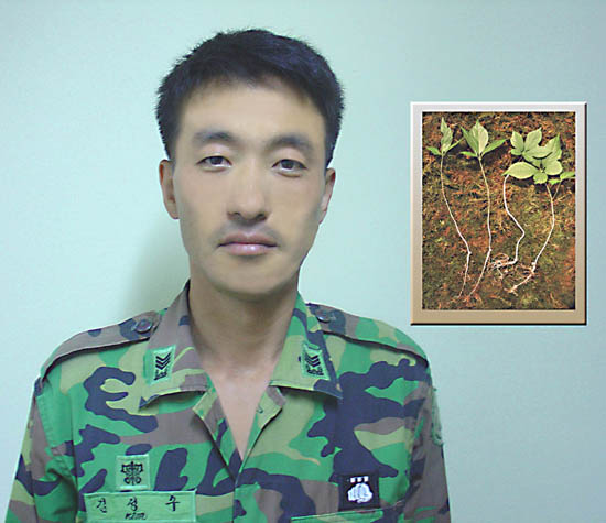 [경기]“산삼(山蔘)으로 사랑을 나눕니다.!”