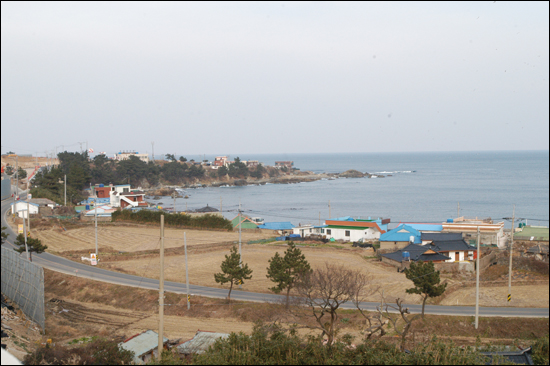 포항 다무포 마을, 고래생태마을로 조성 된다
