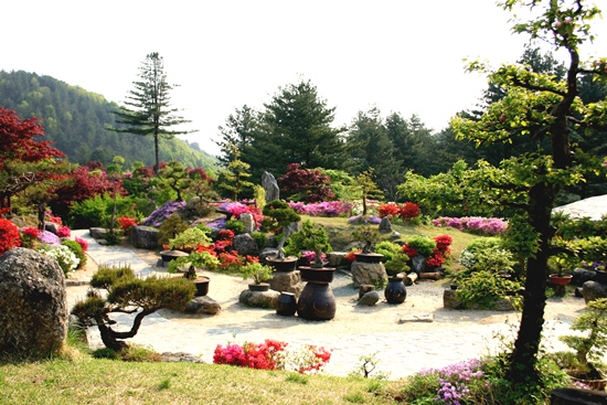 황홀한 꽃들의 향연 - 아침고요수목원