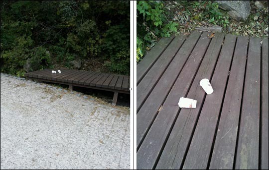 청정지역 지리산에 종이컵 카페베네가?