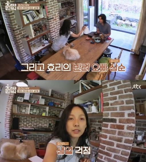 효리네 민박 이상순 이효리와 결혼한 이유