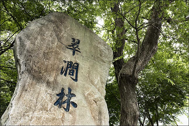 [이창수의 지리산 산책 ⑨] 푸른 물빛의 산골 물옆 숲 ‘취간림’