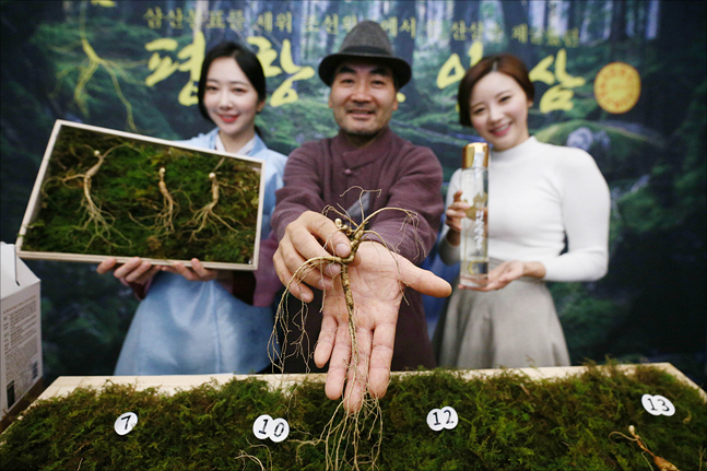 <포토> 산양삼으로 건강 챙기세요~