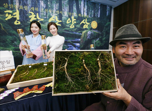 <포토> 자연에서 자란 산양삼으로 건강관리 하세요~