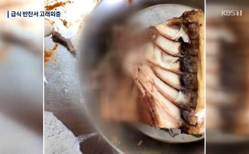 급식 먹다 ‘고래회충’ 날벼락…대체 어디서 나왔길래