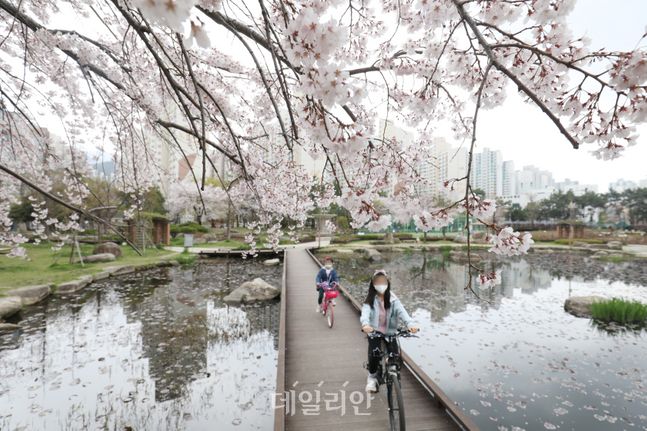 <포토> 부산의 봄