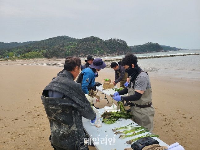수산자원공단 서해본부, 바다식목일 기념 잘피 숲 조성