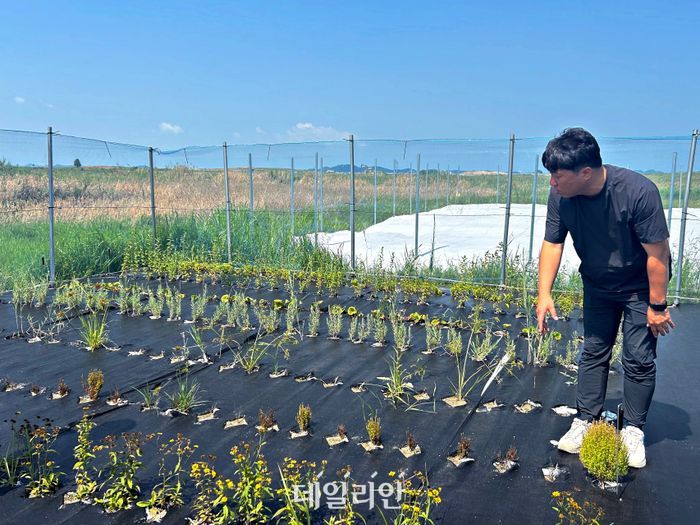산림청,해안형 국립새만금수목원 수종 연구 박차
