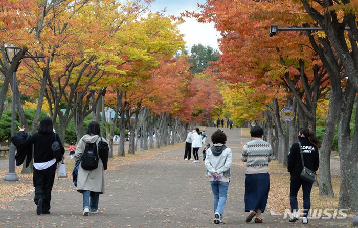 [오늘 날씨] 서울 낮 최고 20도 흐리고 일부 비…널뛰기 기온, 호흡기엔 치명적