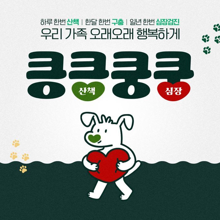 한국베링거인겔하임동물약품 킁킁쿵쿵 캠페인 성료 큰 호응