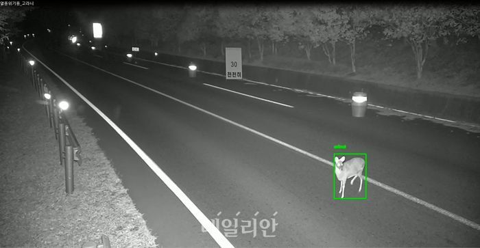 환경부, AI 기술 적용 ‘동물 찻길 사고 예방 시스템’ 설치
