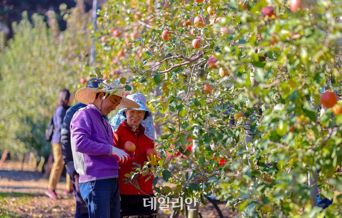 “기후변화에도 안정적 생산 가능하도록”…과수원 특화단지 2030년까지 60곳 조성