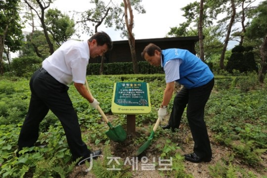 우리카드, 광화문시민열린마당 돌보미 활동 개시
