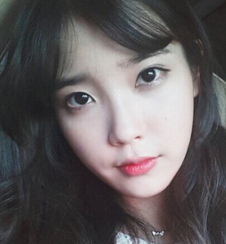 아이유 악플러 검거, 