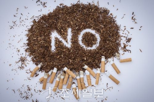  세계 금연의날…동부화재 담배산업 투자 안한다