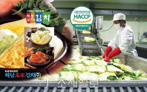  해남명가김치, 해남 절임배추와 김치양념 본격 공급