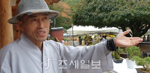  천년고찰 장안사 제2회 가을 국화향기를 품다