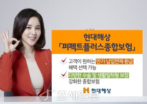  현대해상,만기·납입면제 선택 가능한 퍼펙트플러스종합보험 출시