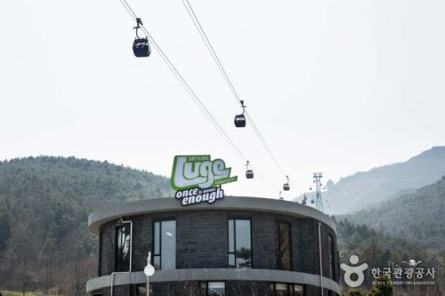  남녀노소 안전하게 즐기는 통영여행 필수코스 루지(LUGE)