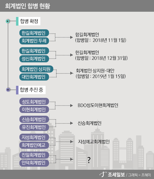  찻잔 속 태풍이었나…회계법인 합병 지지부진, 왜?